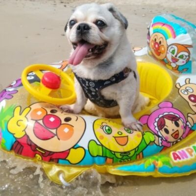 Webp net resizeimage  2  Thumbnail